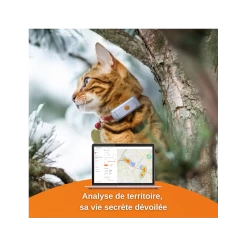 Traceur GPS Weenect Pour Chats 15 Traceur GPS Weenect Pour Chats -Repas Magsin offre speciale traceur gps weenect pour chats 4