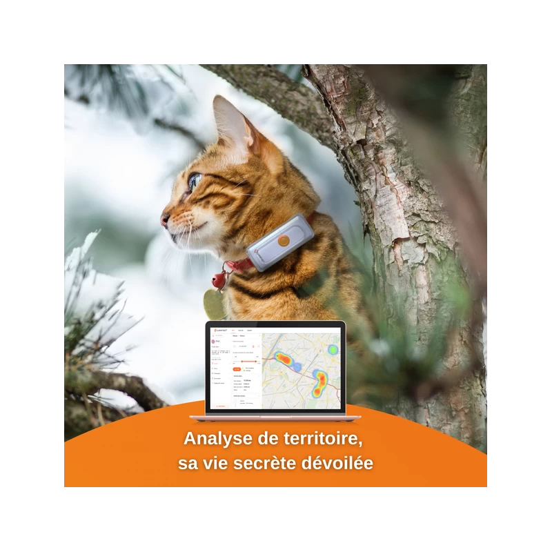 Traceur GPS Weenect Pour Chats 8 Traceur GPS Weenect Pour Chats – Image 6