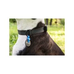 Porte-Médaille Silencieux (FreezeTag Holder) 9 Porte-Médaille Silencieux (FreezeTag Holder) -Repas Magsin porte medaille silencieux freezetag holder 2