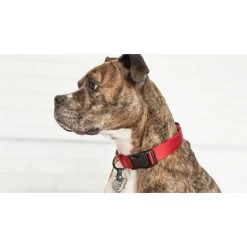 Porte-Médaille Silencieux (FreezeTag Holder) 11 Porte-Médaille Silencieux (FreezeTag Holder) -Repas Magsin porte medaille silencieux freezetag holder 4