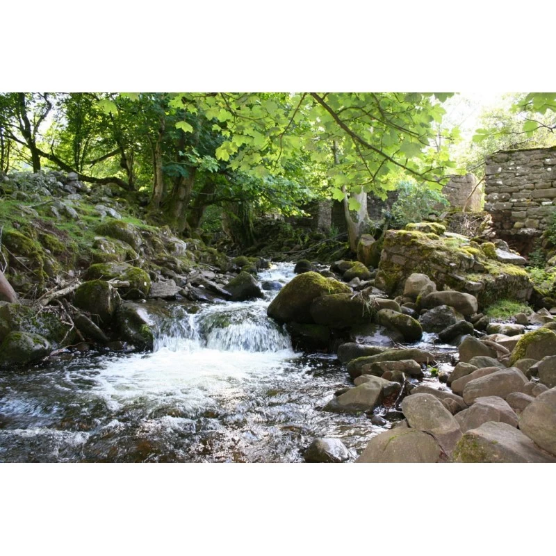 Rock Water (Eau De Roche) 4 Rock Water (Eau De Roche) – Image 2