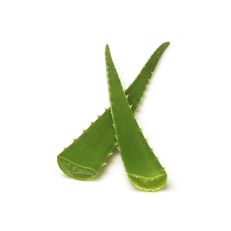 Après-Shampooing Revitalisant à L’Aloe Vera & Huile D’Argan Bio 250ml (Maelson 4FUR™ Natural Conditioner) 5 Après-Shampooing Revitalisant à L’Aloe Vera & Huile D’Argan Bio 250ml (Maelson 4FUR™ Natural Conditioner) – Image 3