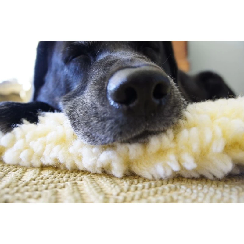 Tapis En Fourrure Synthétique Hypoallergénique – Ivoire - 5 Tailles (HuggleFleece Mat) 4 Tapis En Fourrure Synthétique Hypoallergénique – Ivoire - 5 Tailles (HuggleFleece Mat) – Image 2