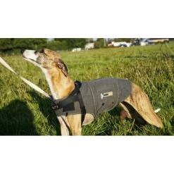 Thundershirt (7 Tailles Et 2 Coloris) -Repas Magsin thundershirt 7 tailles et 2 coloris 4
