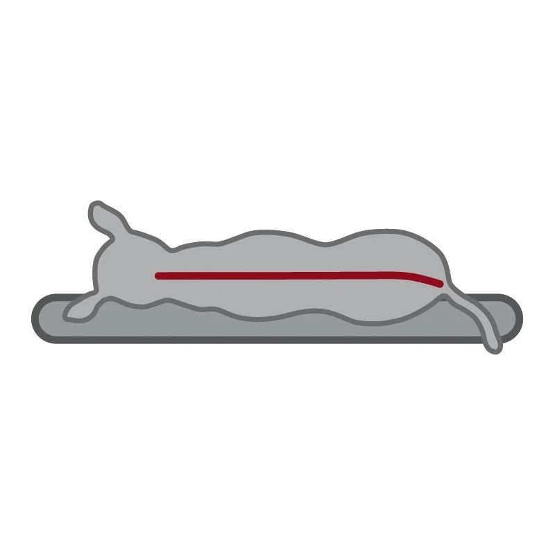 Vital Sofa Bendson à Mémoire De Forme - 2 Tailles 13 Vital Sofa Bendson à Mémoire De Forme - 2 Tailles – Image 11