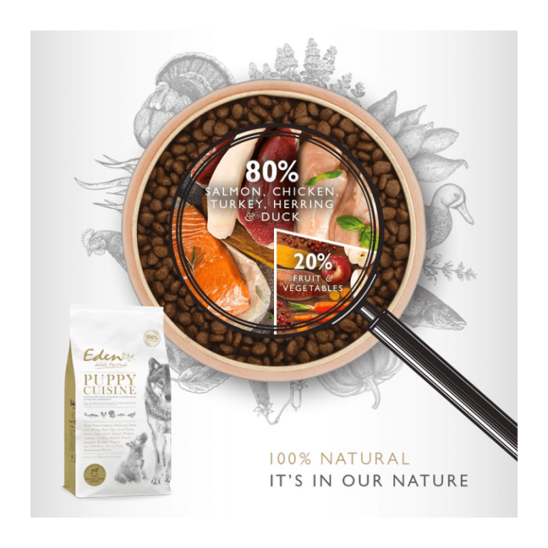 Repas Magsin -Repas Magsin eden 8020 puppy cuisine croquettes chiots juniors et chiennes gestantes 1 768x768 2