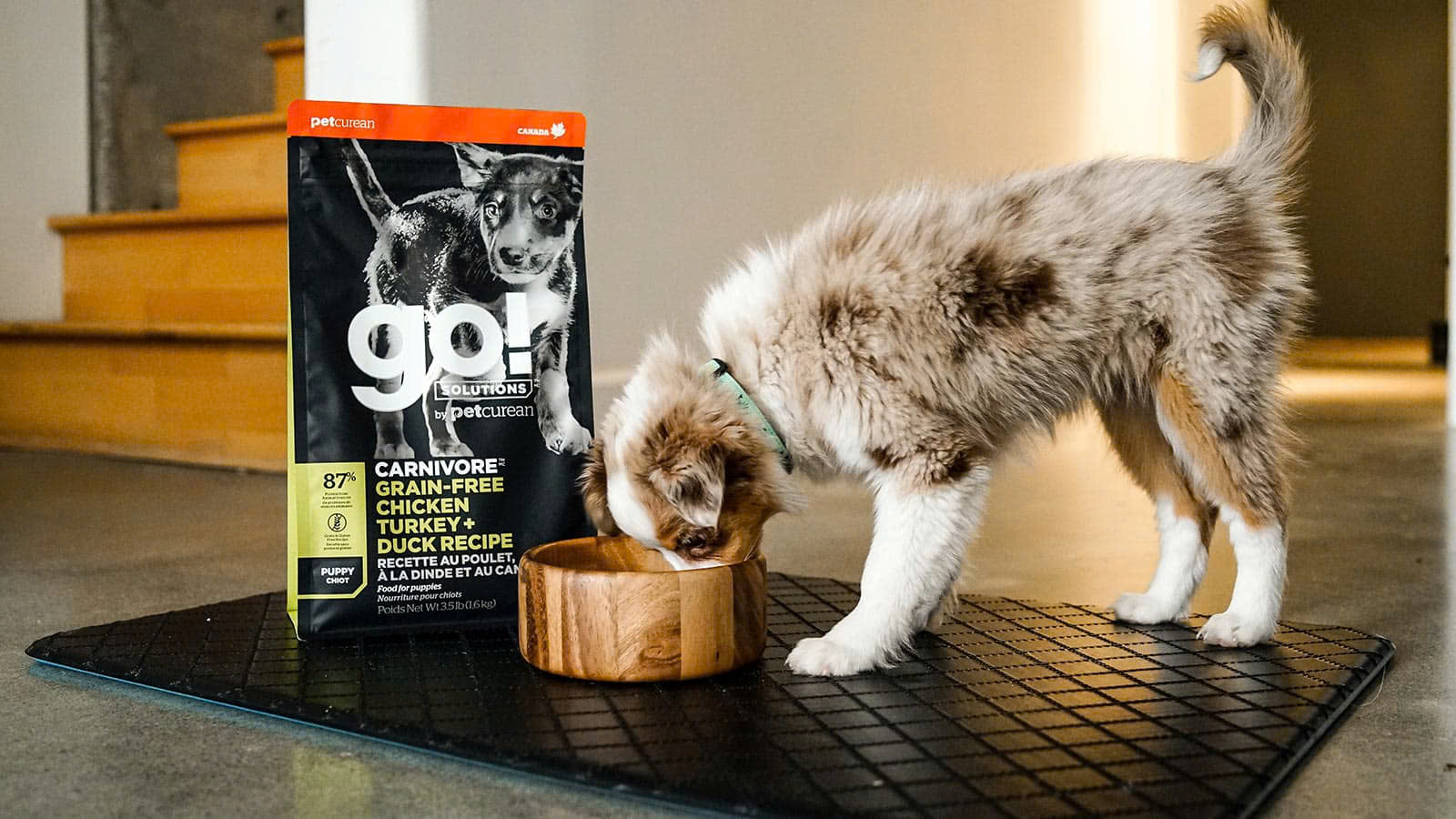 Repas Magsin -Repas Magsin z6609248269623 8223d76872f07e5048471cc253c6d2fd